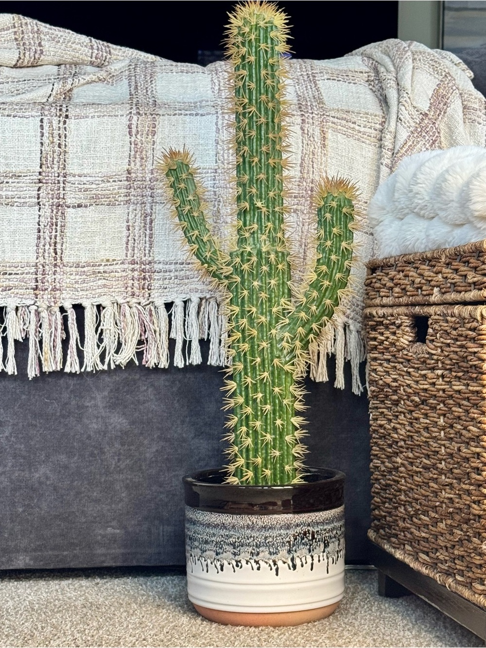 🌵Artificial Seguaro Cactus Accent Plant